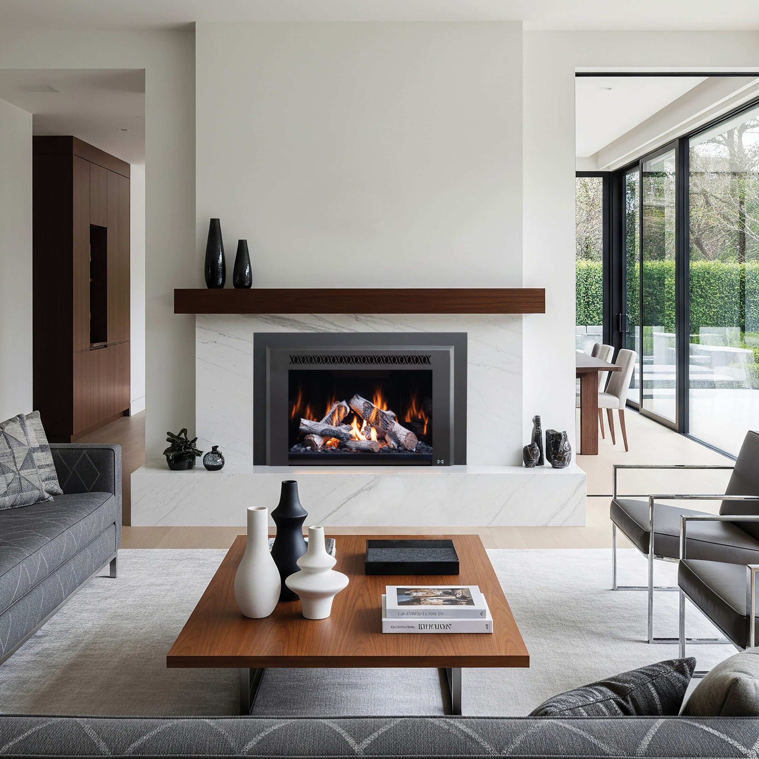 658 Deluxe Live Fire Gas Insert
